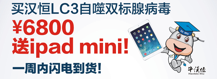 买汉恒自噬双标腺病毒送ipad mini