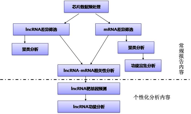 lncRNA芯片数据分析策略